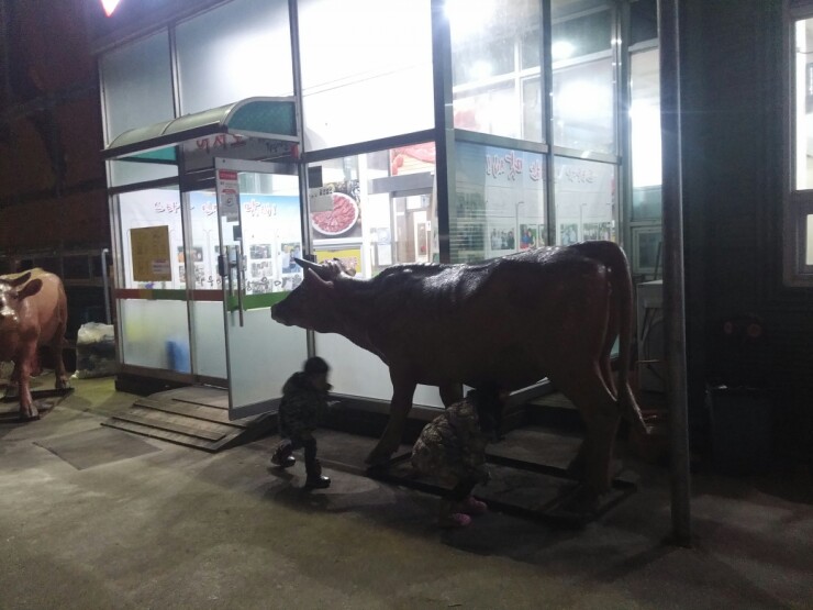 순천황우 이미지