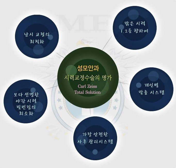 성모안과 이미지