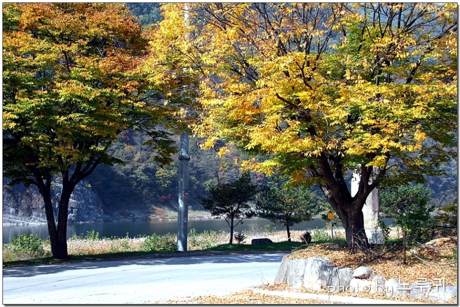 (주)아프리카박물관 이미지
