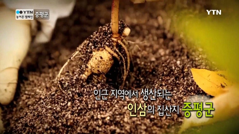 일번지유통 이미지