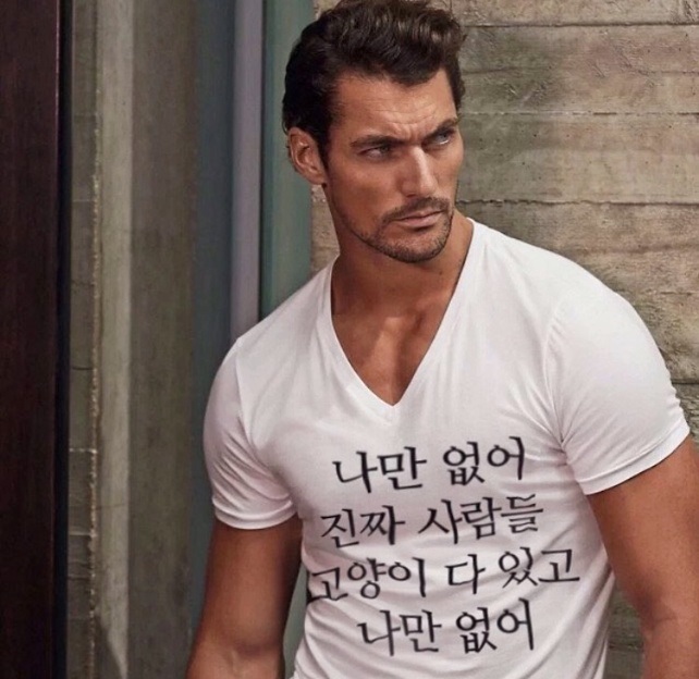 나만없어고양이 이미지