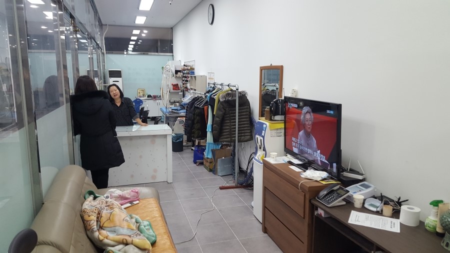 두리수선 이미지