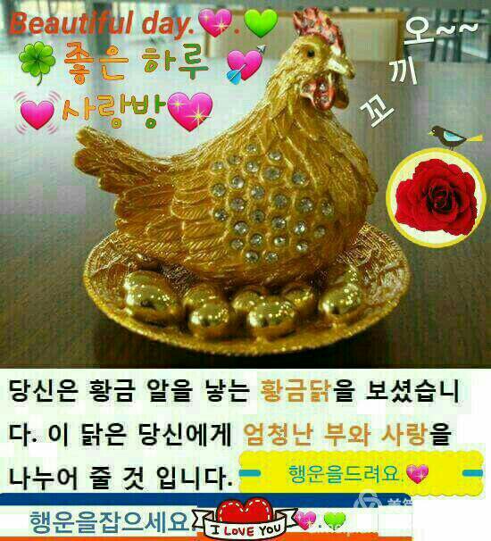 황금닭 이미지