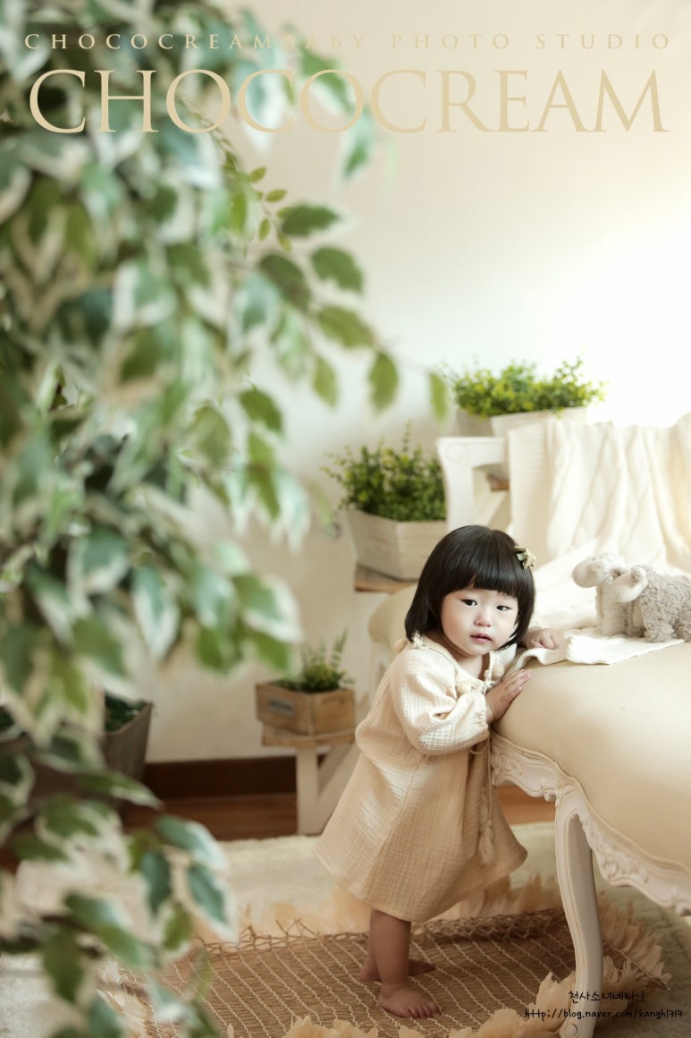 크림스튜디오 이미지