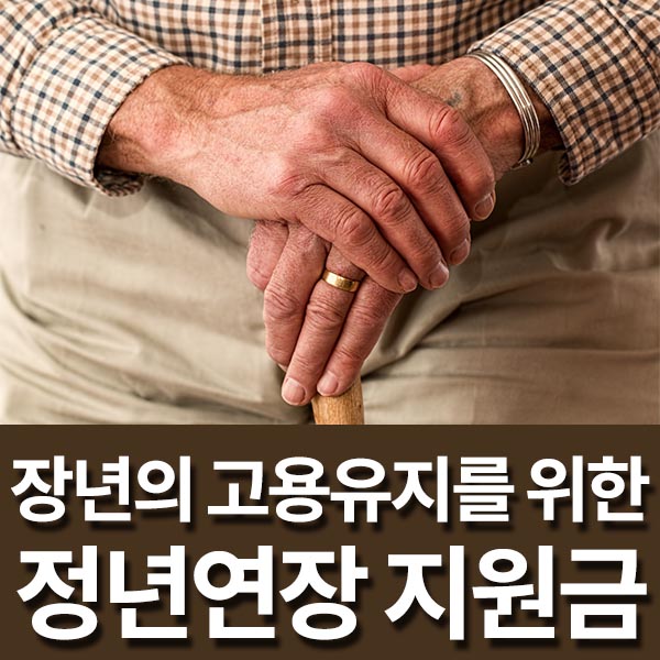 가온인력사무소 이미지