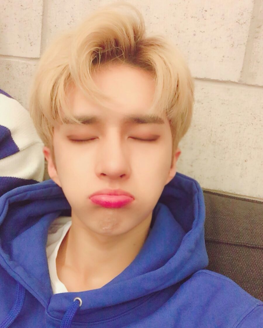 별넷 이미지