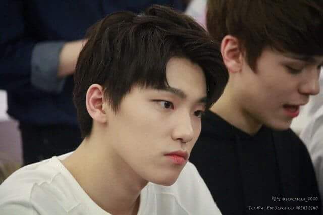 여우아이 이미지
