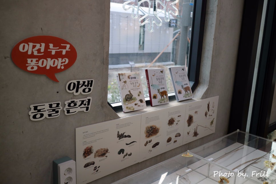 보리책방 이미지