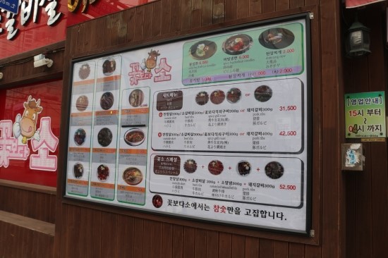 꽃보다소 이미지