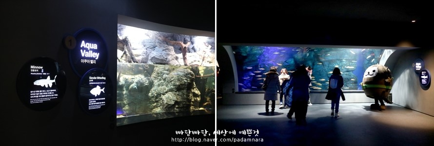 환이아트 이미지