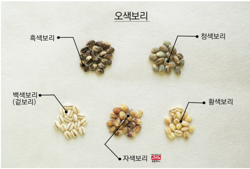 장수양행 이미지