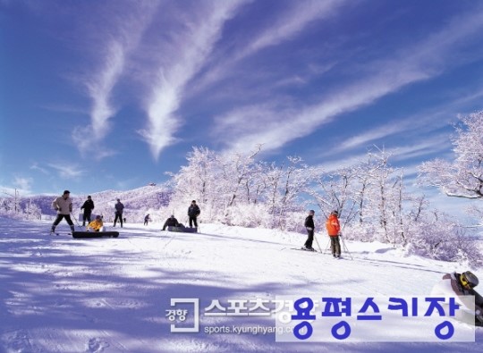 에이치엠파트너스 이미지