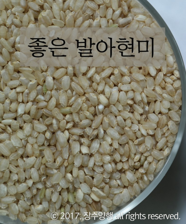 장수양행 이미지