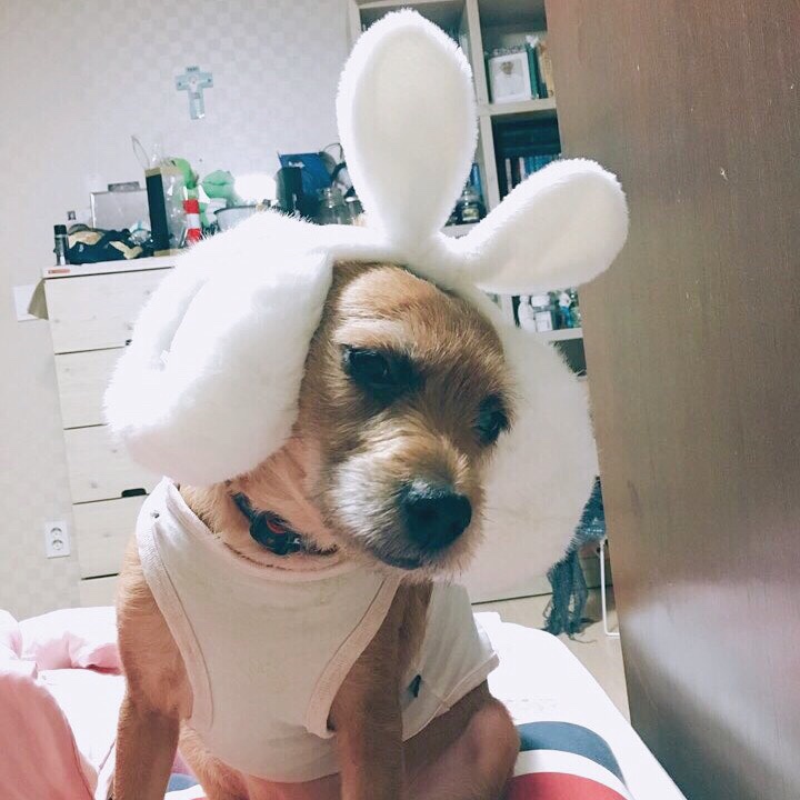 프레클데이 이미지