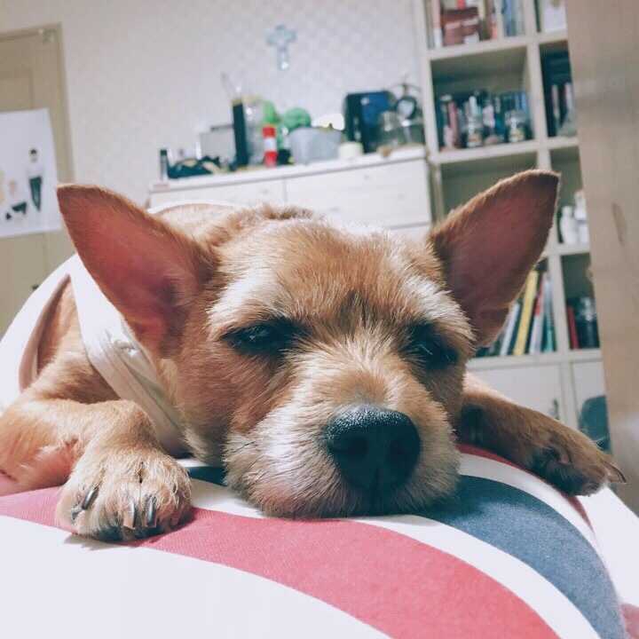 프레클데이 이미지