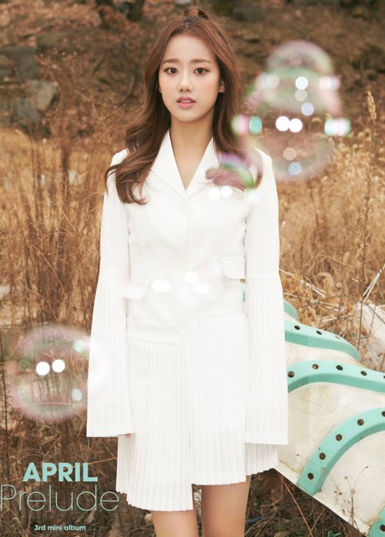 보이나라 이미지