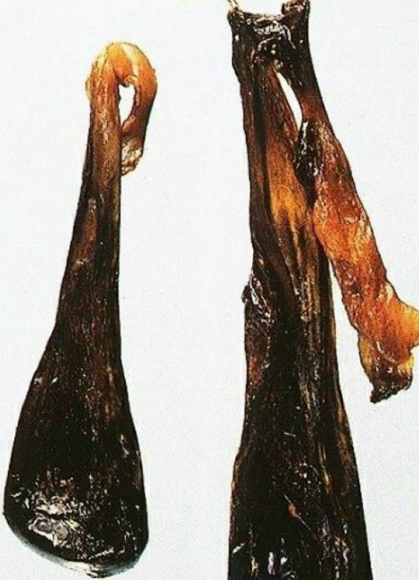 저담 이미지