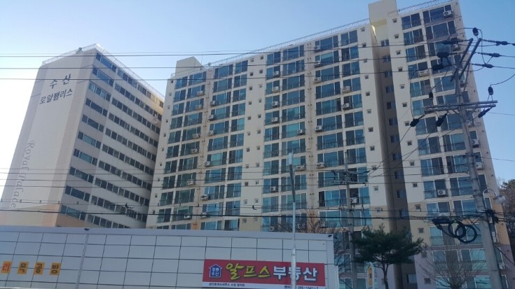 로얄수산 이미지