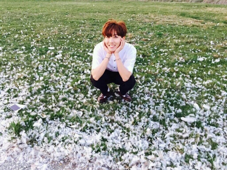 언제나;예쁘다 이미지
