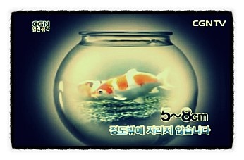 코이 이미지