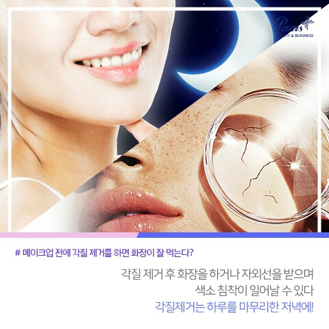 팜스테라 이미지