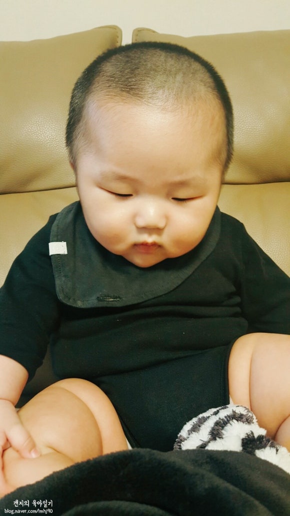 태양이발 이미지