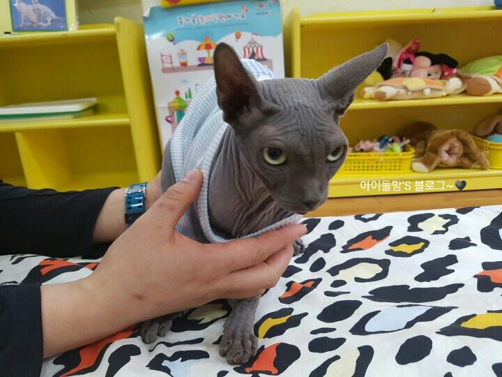 예원어린이집 이미지