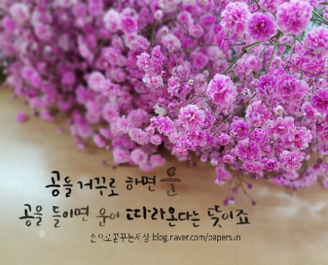 공캘리그라피 이미지