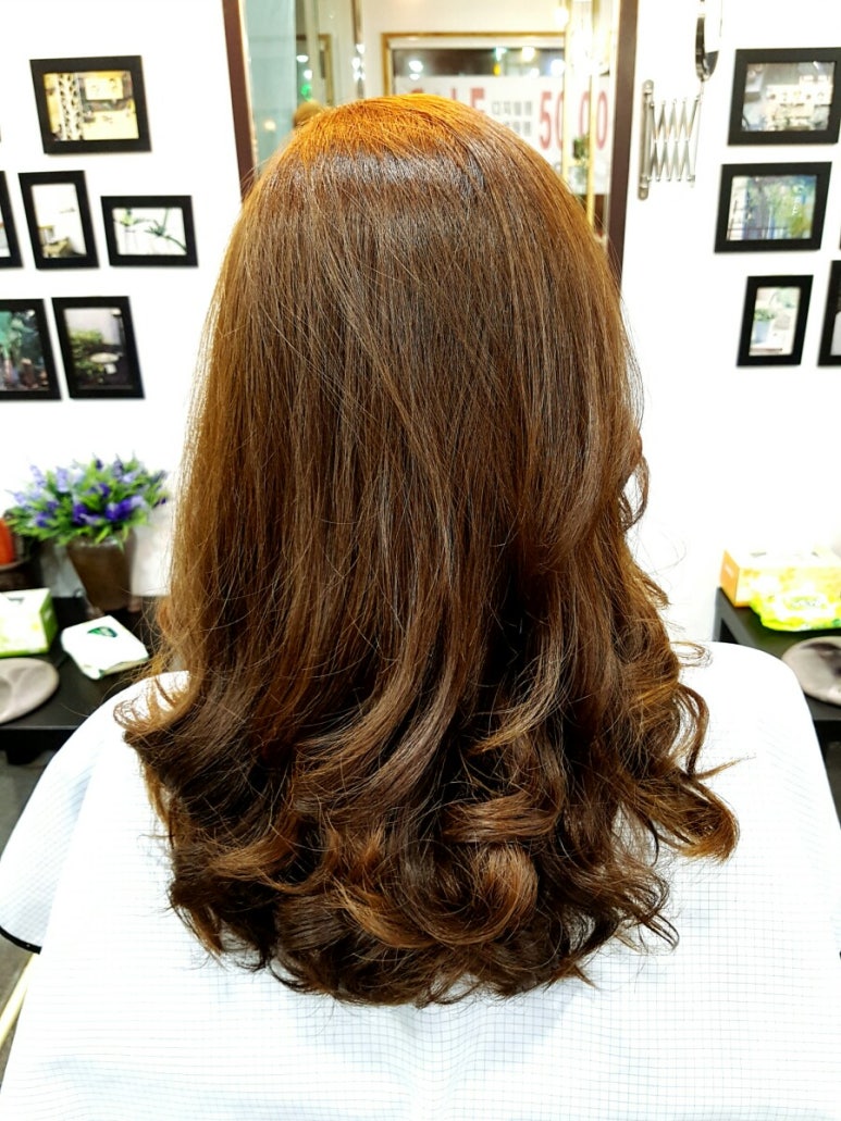 미쁘롱 이미지