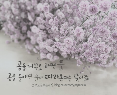 공캘리그라피 이미지