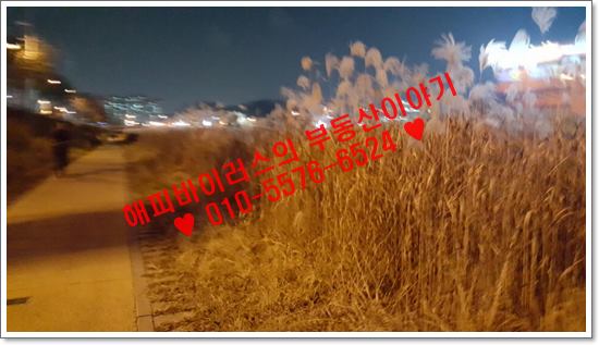 일일모텔 이미지