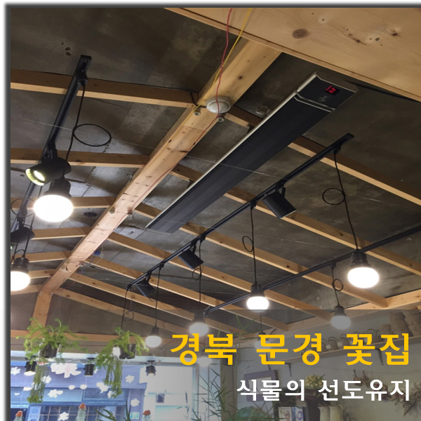 세실리아꽃방 이미지