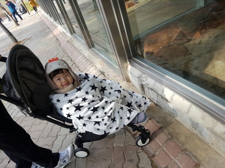 샘터족발 이미지