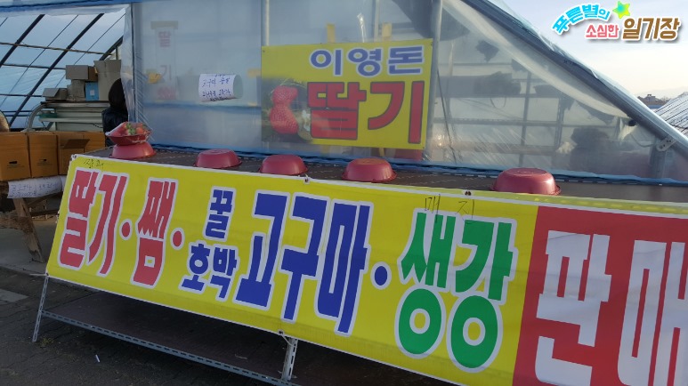 이영돈딸기 이미지