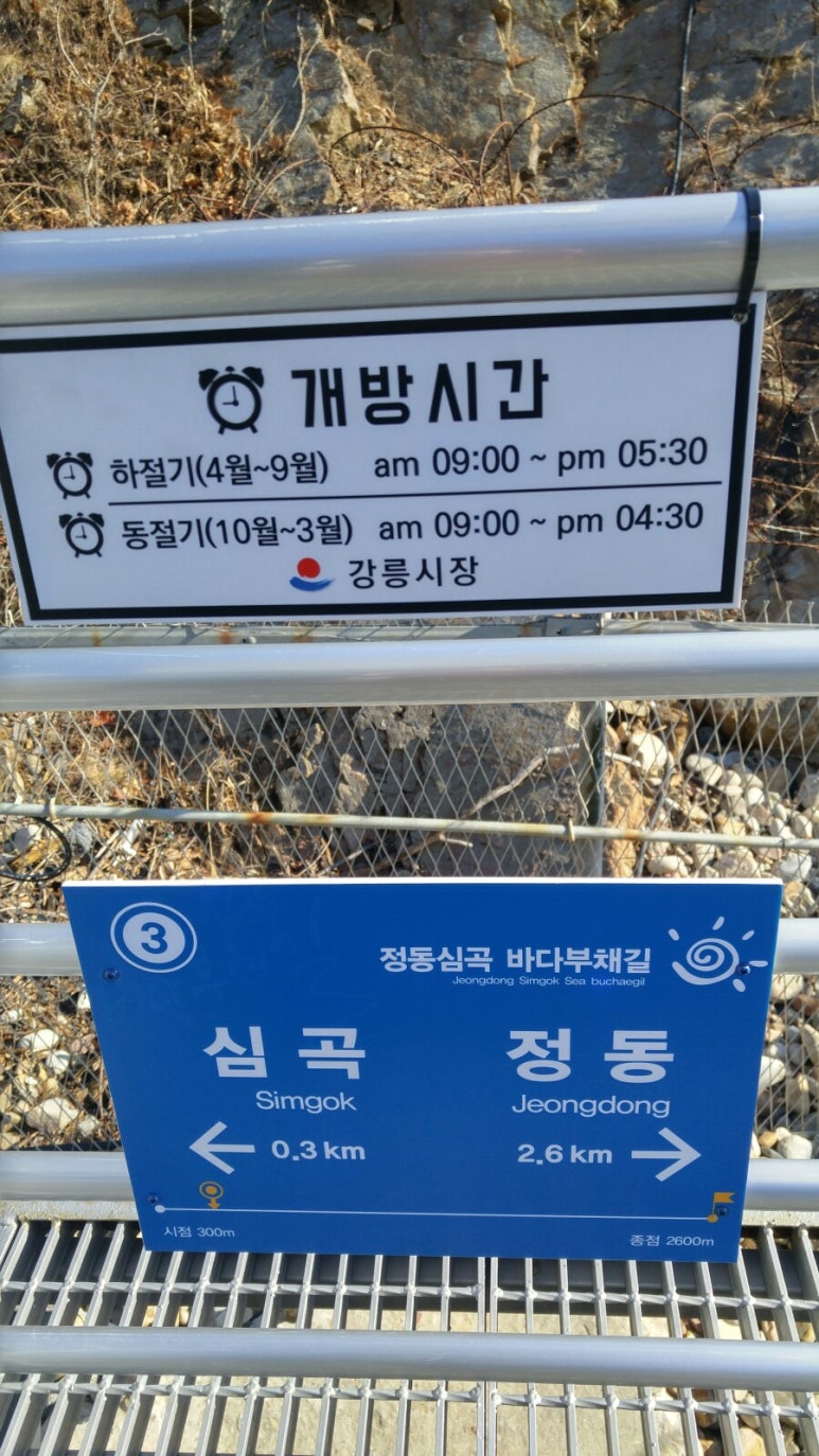 바다여행사 이미지