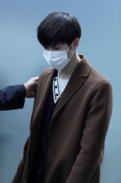 더캐시미어;래트바이티 이미지