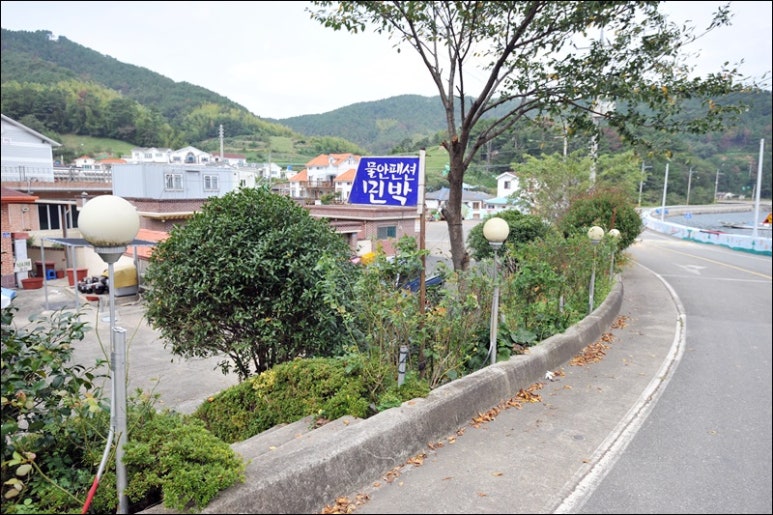 물안민박 이미지