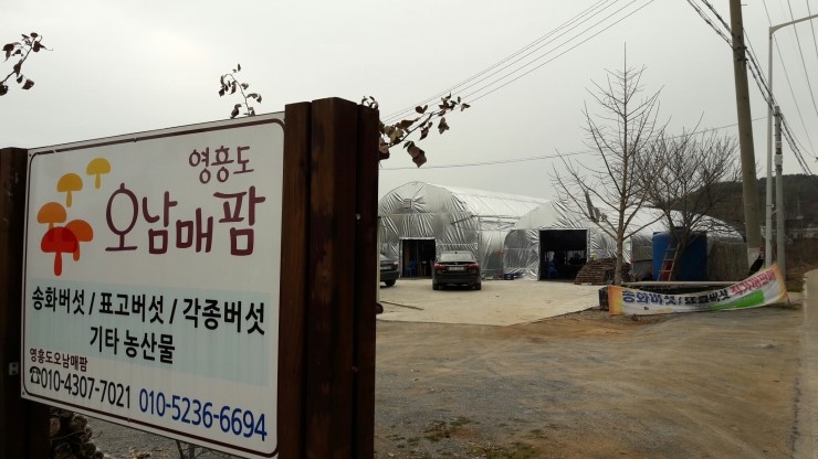 오남매농장 이미지