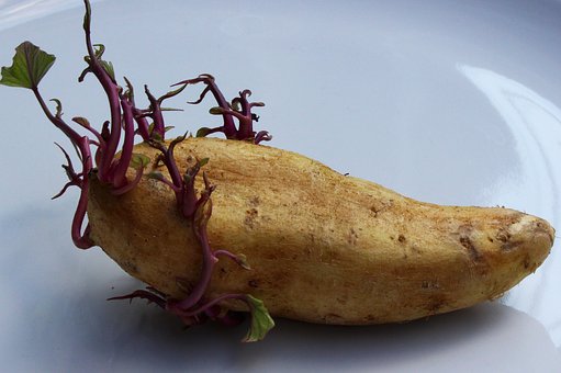 이레농산 이미지