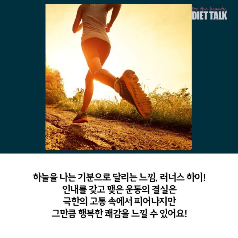 러너스 하이 이미지