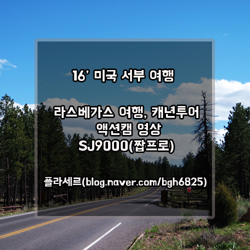 플라세르 투어 이미지