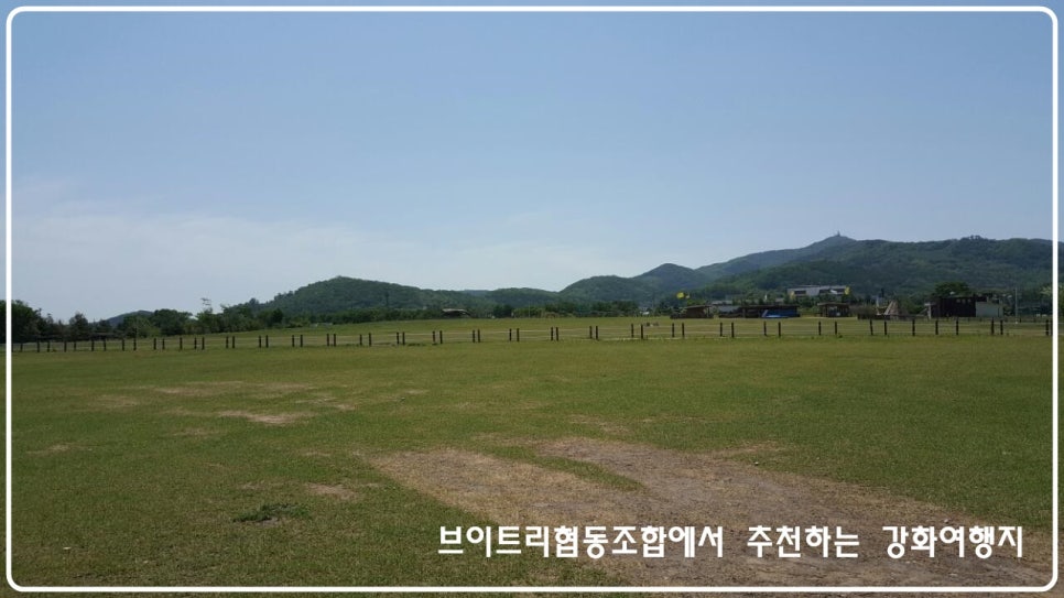 협동조합고인돌 이미지