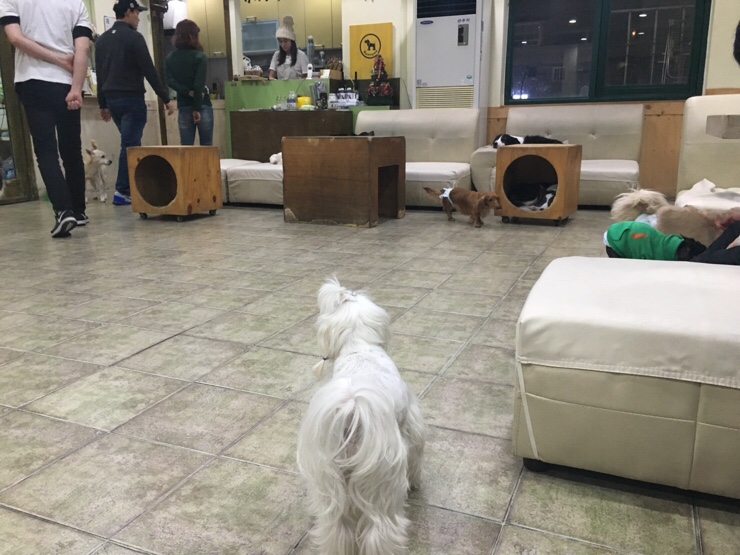 써니살롱 이미지