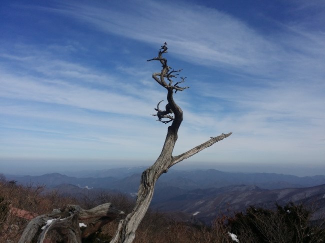 (주)태백산건축 이미지