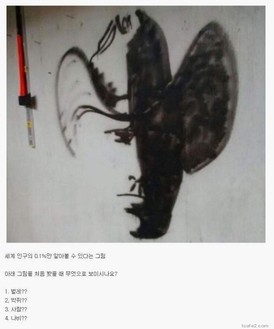 사진세계 이미지