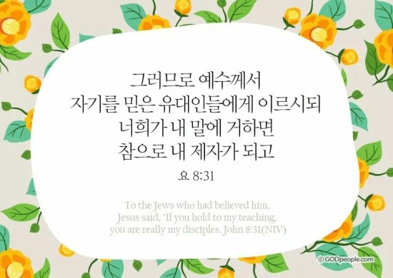 피쉬마켓 이미지