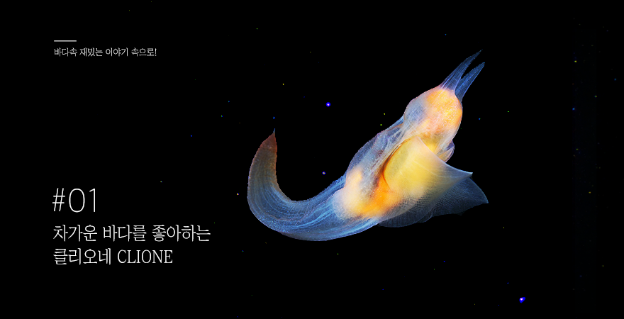 클리오네 이미지