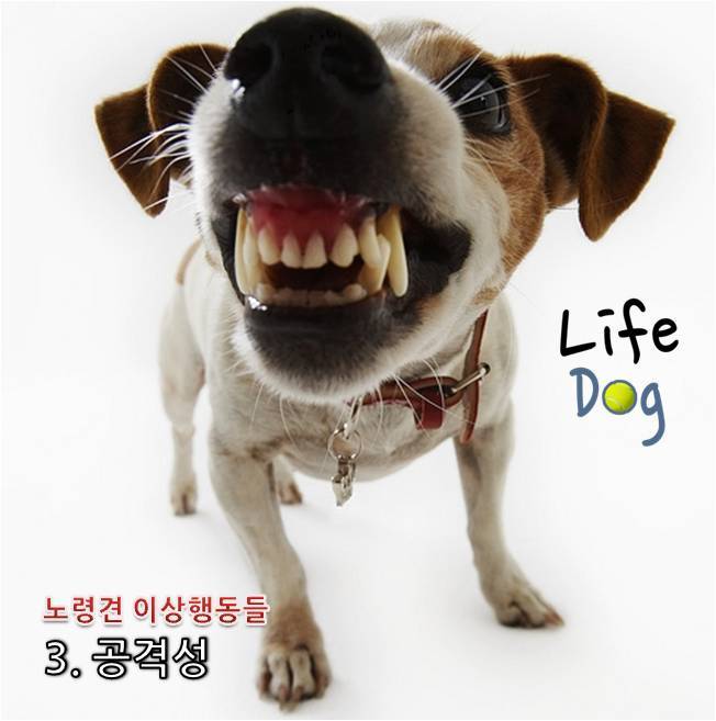 수에스테틱 이미지