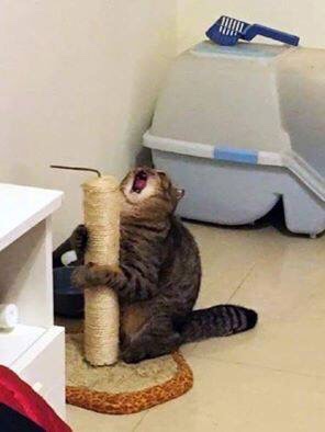 몽글몽글 이미지