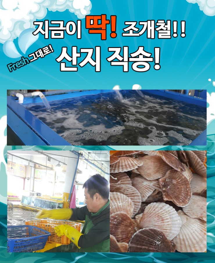 석화카페 이미지